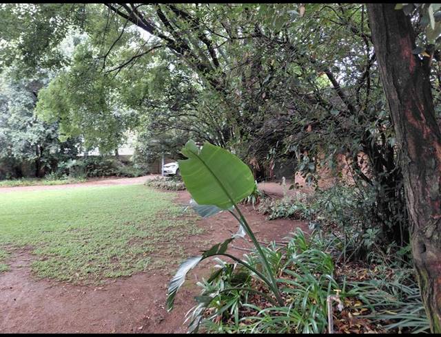 5 BEDROOM HOUSE FOR SALE IN FERNDALE